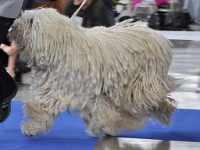 dsc_3656.jpg