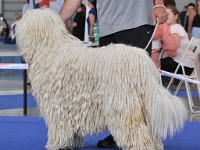dsc_3661.jpg