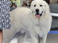 dsc_3673.jpg