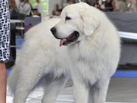 dsc_3674.jpg