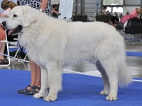 dsc_3678.jpg