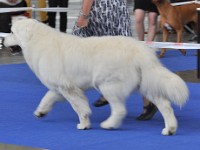 dsc_3687.jpg