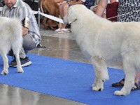 dsc_3694.jpg